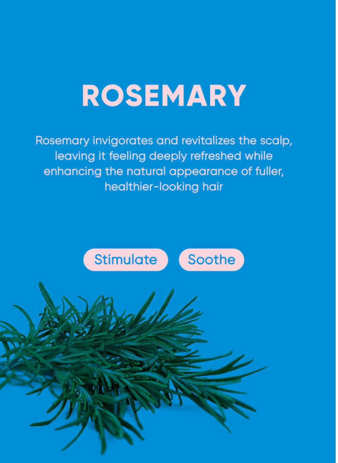 Marsmade Rosemary Shampoo Bar PREVENTA