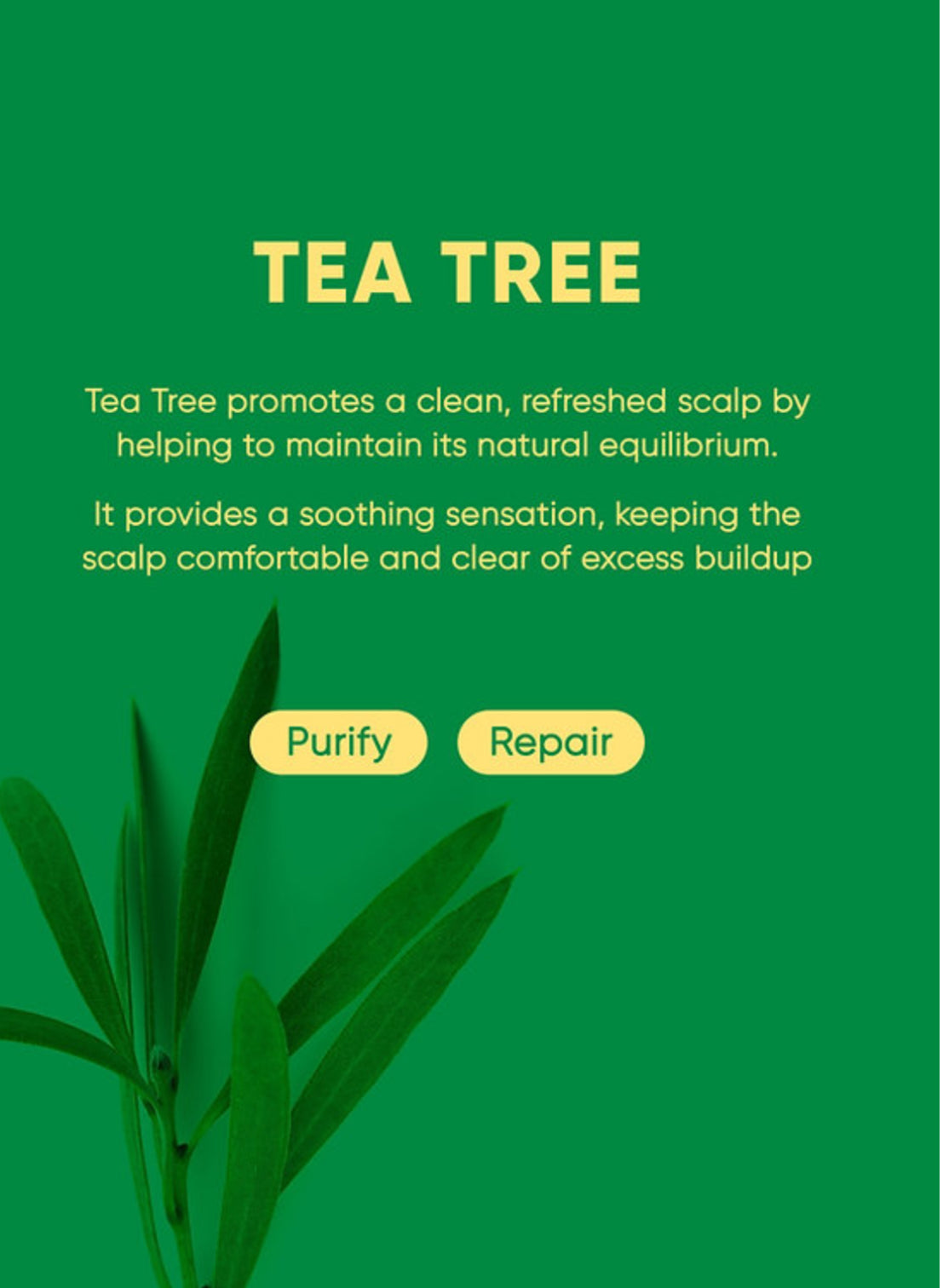 Marsmade Tea Tree Shampoo Bar PREVENTA
