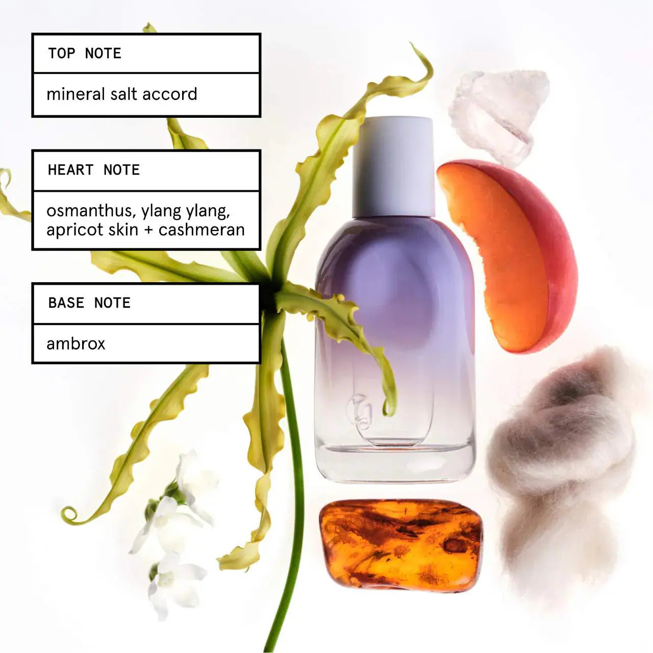 Set de muestra de perfumes Next Big Thing de Sephora Favorites con cupón canjeable. Pre Order