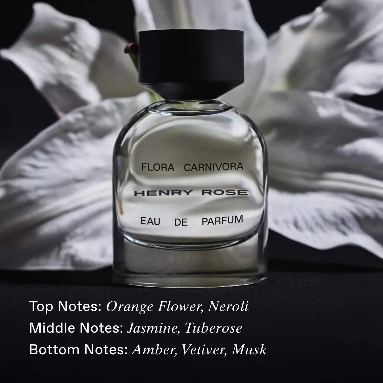 Set de muestra de perfumes Next Big Thing de Sephora Favorites con cupón canjeable. Pre Order